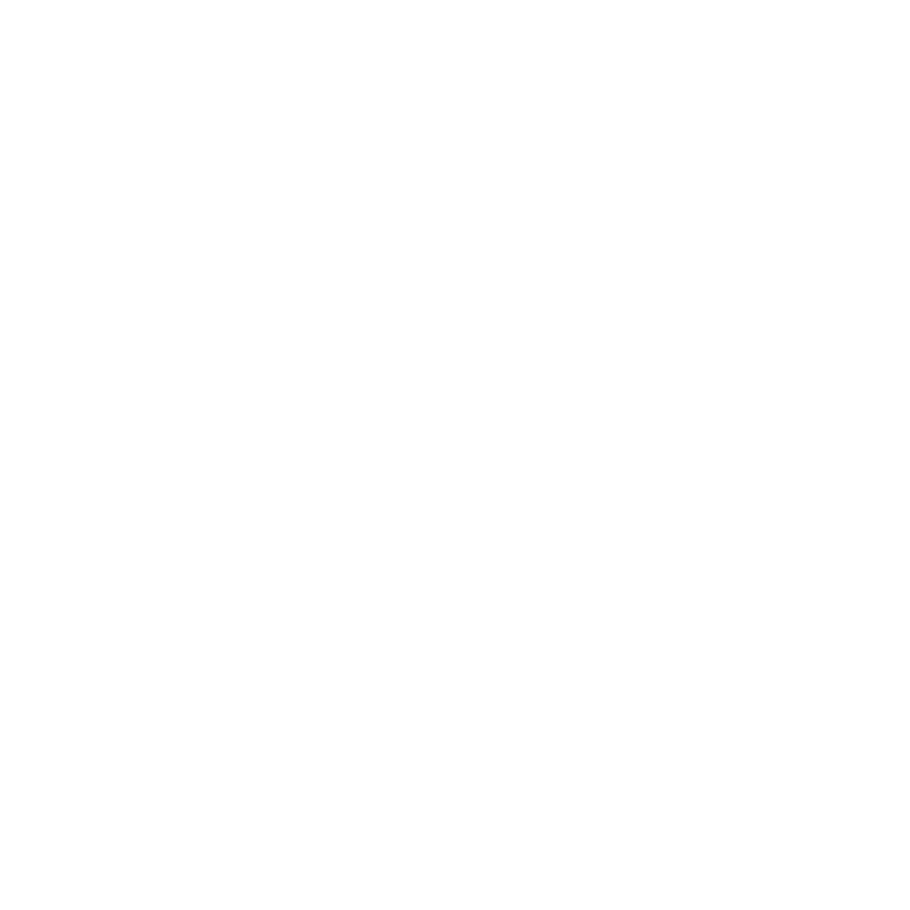 BANDEIRA-TRANSCARIOCA-v06.png